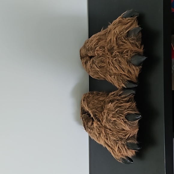Bear Feet Slippers - Picture 1 of 4